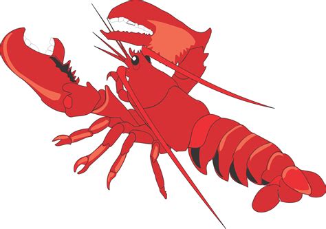 lobster clip art|free printable lobster pictures.